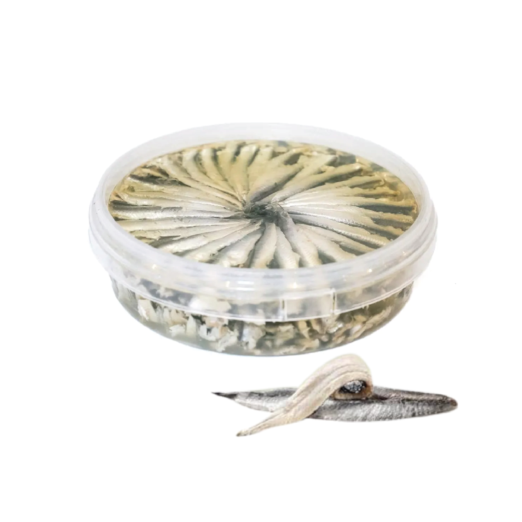 Anchovy White in Oil